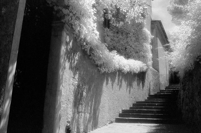 stairs_to_castellano_brown.jpg